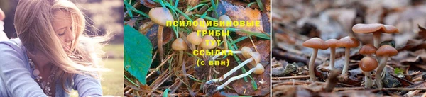 скорость mdpv Алексеевка