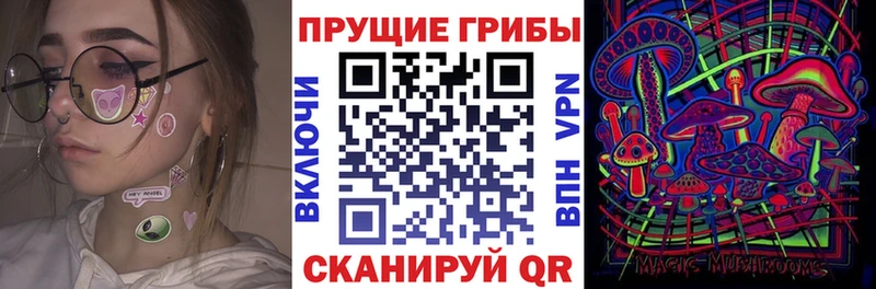 площадка наркотические препараты  Апатиты  Псилоцибиновые грибы Magic Shrooms 